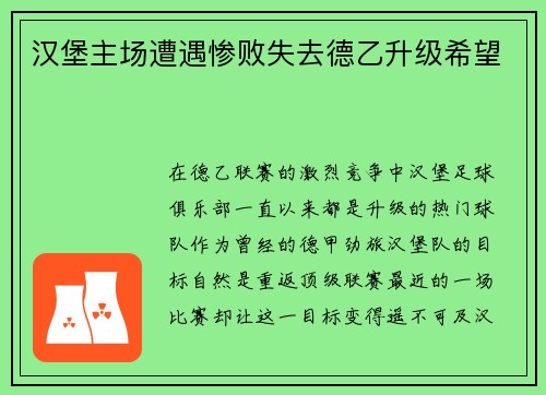 汉堡主场遭遇惨败失去德乙升级希望