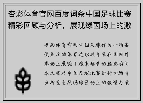 杏彩体育官网百度词条中国足球比赛精彩回顾与分析，展现绿茵场上的激情与荣耀